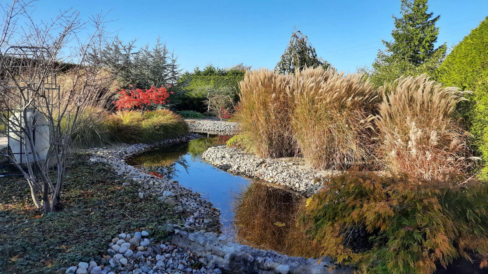 garten-meyer-gaertnerei-landschaftsbau-rundgang-11