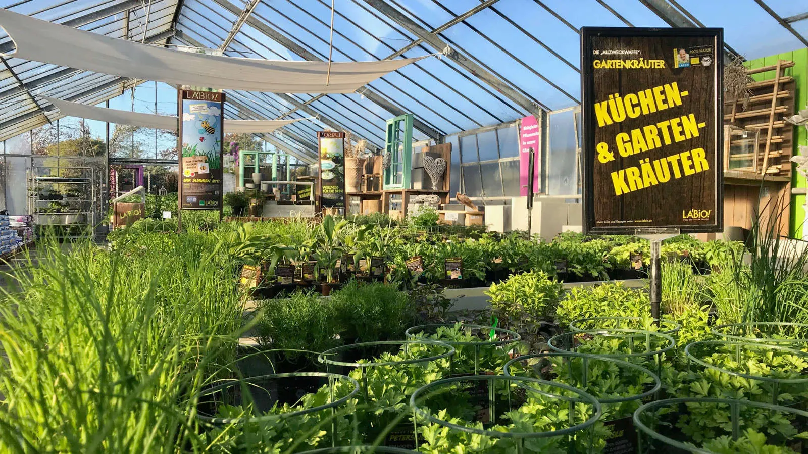 garten-meyer-gaertnerei-landschaftsbau-rundgang-12