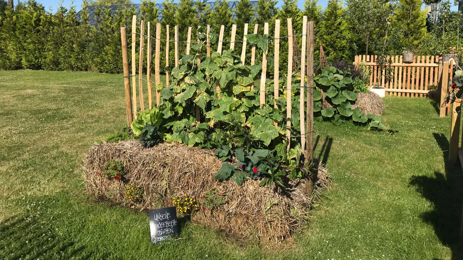 garten-meyer-gaertnerei-landschaftsbau-rundgang-16