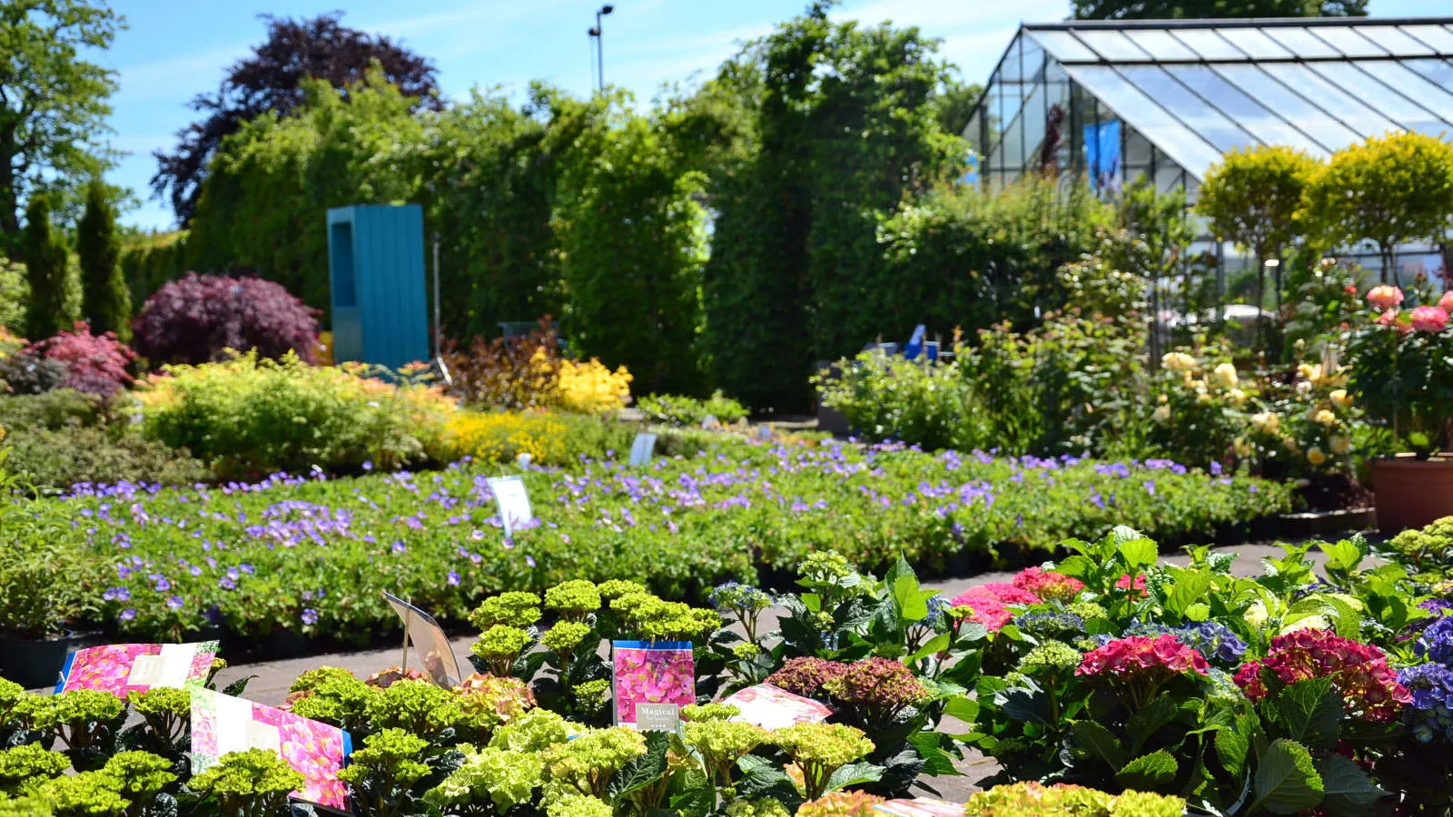 garten-meyer-gaertnerei-landschaftsbau-rundgang-7